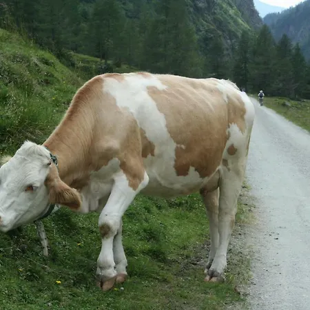 Haus Ganotz Kals-am Großglockner